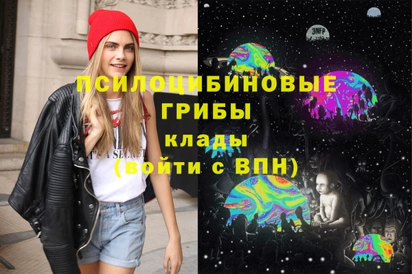 крисы Вяземский